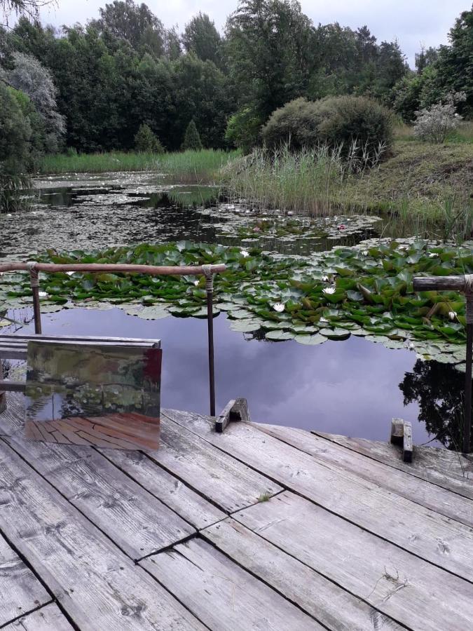 Villa Idilliska Latgaliesu Lauku Maja Ar Melno Pirti à Aglona Extérieur photo