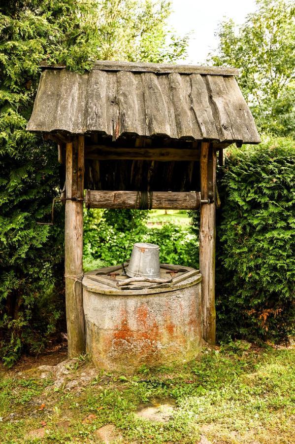 Villa Idilliska Latgaliesu Lauku Maja Ar Melno Pirti à Aglona Extérieur photo
