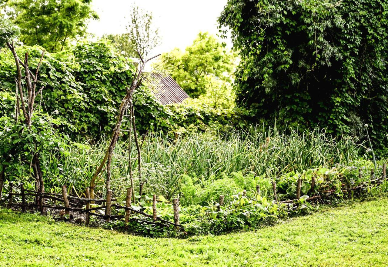 Villa Idilliska Latgaliesu Lauku Maja Ar Melno Pirti à Aglona Extérieur photo