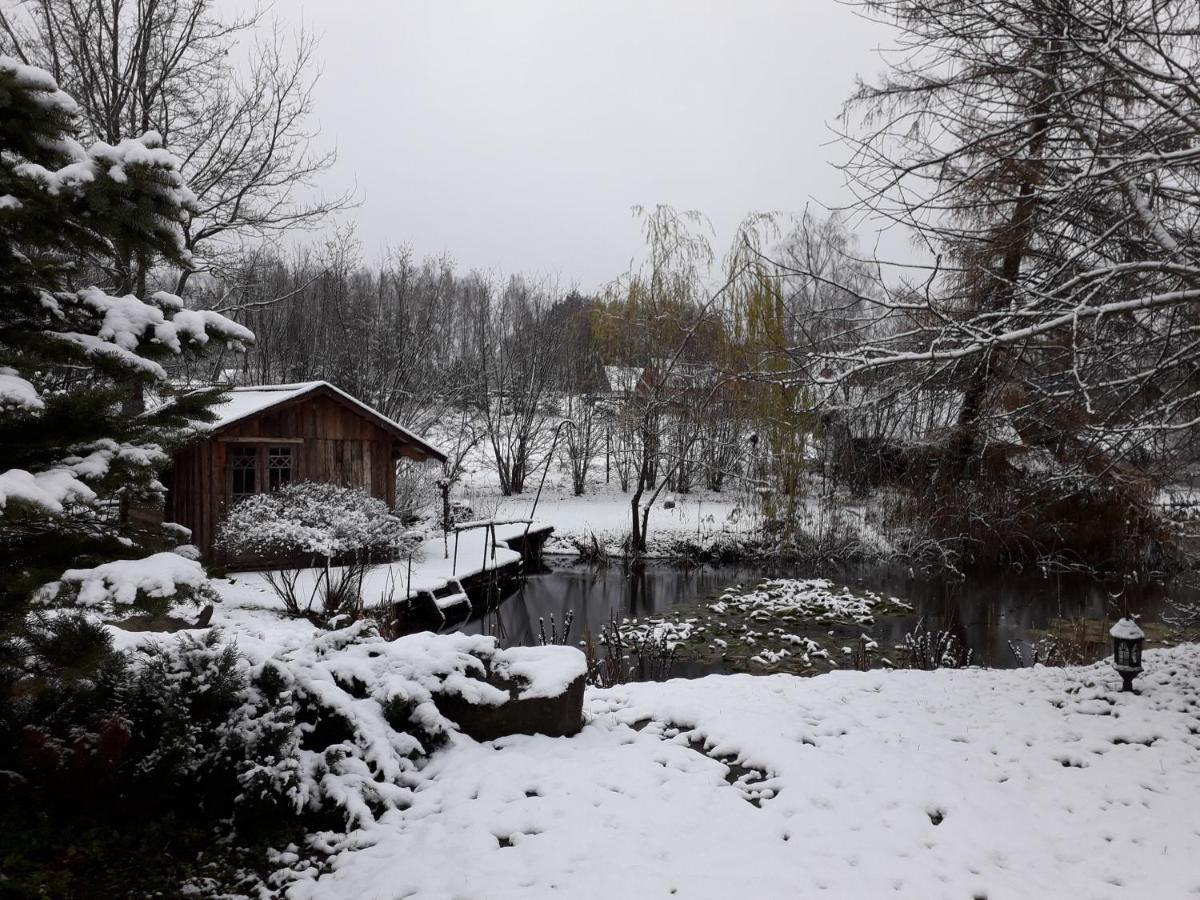 Villa Idilliska Latgaliesu Lauku Maja Ar Melno Pirti à Aglona Extérieur photo