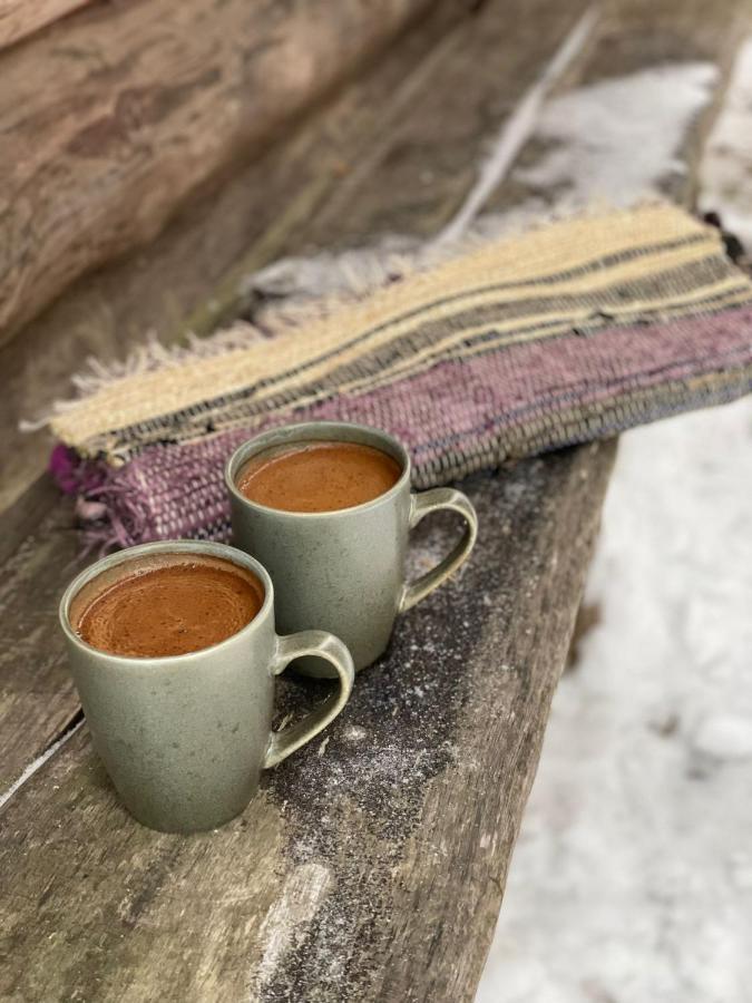 Villa Idilliska Latgaliesu Lauku Maja Ar Melno Pirti à Aglona Extérieur photo